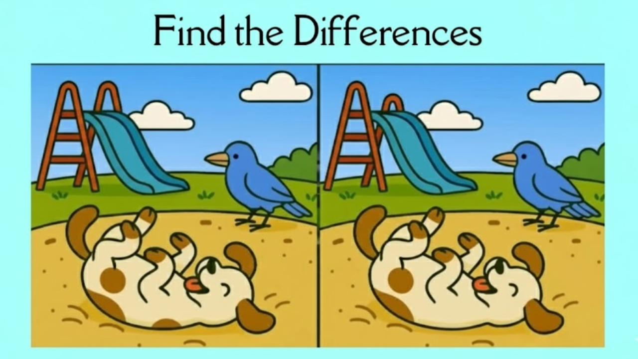 Encuentra las 3 Diferencias