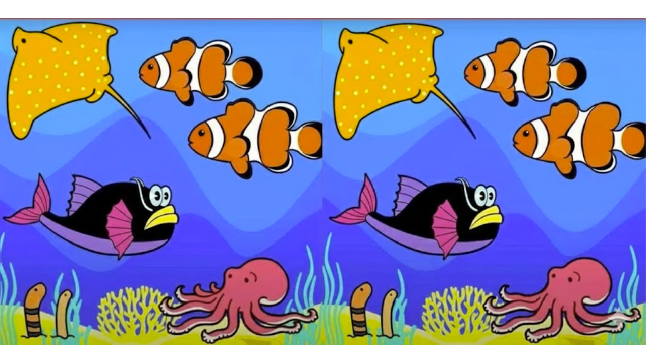 Spot All 3 Differences