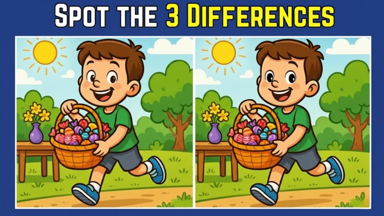 Spot the Difference Puzzle