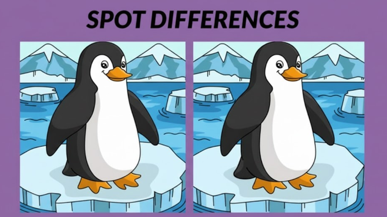 Spot the Differences Puzzle
